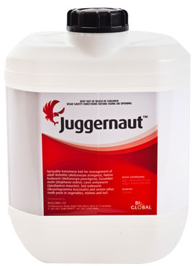 Juggernaut