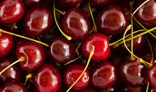Bioglobal Teams Up With AFFCO to Deliver Increased Pollination